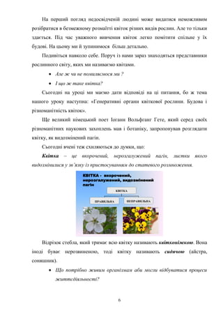 6
На перший погляд недосвідченій людині може видатися неможливим
розібратися в безмежному розмаїтті квіток різних видів рослин. Але то тільки
здається. Під час уважного вивчення квіток легко помітити спільне у їх
будові. На цьому ми й зупинимося більш детально.
Подивіться навколо себе. Поруч із нами зараз знаходяться представники
рослинного світу, яких ми називаємо квітами.
 Але ж чи не помиляємося ми ?
 І що ж таке квітка?
Сьогодні на уроці ми маємо дати відповіді на ці питання, бо ж тема
нашого уроку наступна: «Генеративні органи квіткової рослини. Будова і
різноманітність квіток».
Ще великий німецький поет Іоганн Вольфганг Гете, який серед своїх
різноманітних наукових захоплень мав і ботаніку, запропонував розглядати
квітку, як видозмінений пагін.
Сьогодні вчені теж схиляються до думки, що:
Квітка – це вкорочений, нерозгалужений пагін, листки якого
видозмінилися у зв’язку із пристосуванням до статевого розмноження.
КВІТКА - вкорочений,
нерозгалужений, видозмінений
пагін
КВІТКА
ПРАВИЛЬНА НЕПРАВИЛЬНА
Відрізок стебла, який тримає всю квітку називають квітконіжкою. Вона
іноді буває нерозвиненою, тоді квітку називають сидячою (айстра,
соняшник).
 Що потрібно живим організмам аби могли відбуватися процеси
життєдіяльності?
 