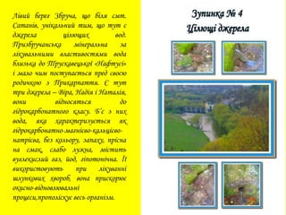 Лівий берег Збруча, що біля смт.
Сатанів, унікальний тим, що тут є
джерела цілющих вод.
Призбручанська мінеральна за
лікувальними властивостями вода
близька до Трускавецької «Нафтусі»
і мало чим поступається пред своєю
родичкою з Прикарпаття. Є тут
три джерела – Віра, Надія і Наталія,
вони відносяться до
гідрокарбонатного класу. Б’є з них
вода, яка характеризується як
гідрокарбонатно-магнієво-кальцієво-
натрієва, без кольору, запаху, прісна
на смак, слабо лужна, містить
вуглекислий газ, йод, гіпотонічна. Її
використовують при лікуванні
шлункових хвороб, вона прискорює
окисно-відновлювальні
процеси,прополіскує весь організм.
 