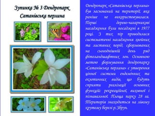 Дендропарк «Сатанівська перлина»
був заснований на території, яка
раніше не використовувалася.
Перші дерево-чагарникові
насадження були посаджені в 1977
році. З тих пір проводилися
систематичні насадження хвойних
та листяних порід, сформованих
на сьогоднішній день ряд
фітоландшафтних зон. Основною
метою формування дендропарку
«Сатанівська перлина» є утворення
цінної системи ендемічних та
екзотичних видів, що будуть
сприяти реалізації основних
функцій: рекреаційної, виховної і
пізнавальної. Площа парку 28 га.
Територія знаходиться на лівому
крутому березі p.Збруч.
 