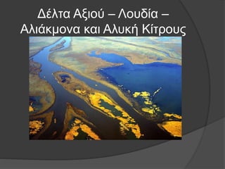 Δέλτα Αξιού – Λουδία –
Αλιάκμονα και Αλυκή Κίτρους
 