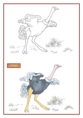 Департамент Продукта Додо Пиццы