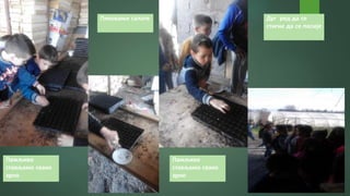 Пиковање салате
Пажљиво
стављамо свако
зрно
Пажљиво
стављамо свако
зрно
Дуг ред да се
стигне да се посије
 