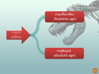 อายุทาง
ธรณีวิทยา
อายุเปรียบเทียบ
(Realative age)
อายุสัมบูรณ์
(absolute age)
 