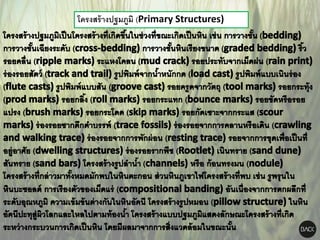 โครงสร้างปฐมภูมิ (Primary Structures)
 