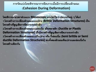 การจัดแบ่งโดยพิจารณาการยึดเกาะเมื่อมีการเปลี่ยนลักษณะ
(Cohesion During Deformation)
 