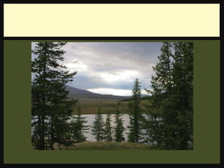 ямал с ягодами