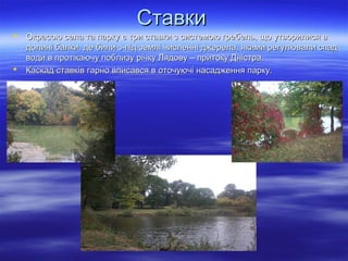 СтавкиСтавки
 Окрасою села та парку є три ставки з системою гребель, що утворилися вОкрасою села та парку є три ставки з системою гребель, що утворилися в
долині балки, де били з-під землі численні джерела, якими регулювали спаддолині балки, де били з-під землі численні джерела, якими регулювали спад
води в протікаючу поблизу річку Лядову – притоку Дністра.води в протікаючу поблизу річку Лядову – притоку Дністра.
 Каскад ставків гарно вписався в оточуючі насадження парку.Каскад ставків гарно вписався в оточуючі насадження парку.
 