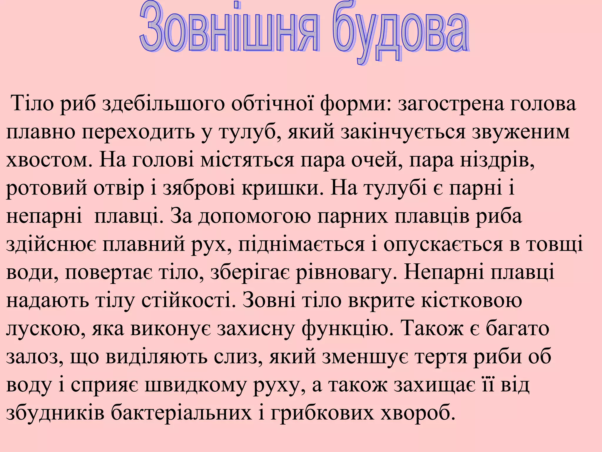 Тіло риб здебільшого обтічної форми: загострена голова
плавно переходить у тулуб, який закінчується звуженим
хвостом. На голові містяться пара очей, пара ніздрів,
ротовий отвір і зяброві кришки. На тулубі є парні і
непарні плавці. За допомогою парних плавців риба
здійснює плавний рух, піднімається і опускається в товщі
води, повертає тіло, зберігає рівновагу. Непарні плавці
надають тілу стійкості. Зовні тіло вкрите кістковою
лускою, яка виконує захисну функцію. Також є багато
залоз, що виділяють слиз, який зменшує тертя риби об
воду і сприяє швидкому руху, а також захищає її від
збудників бактеріальних і грибкових хвороб.
 