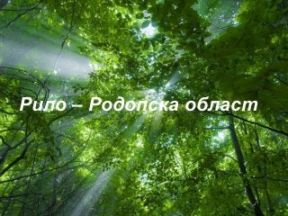 Free Powerpoint Templates
Page 1
Free Powerpoint Templates
Рило – Родопска област
 