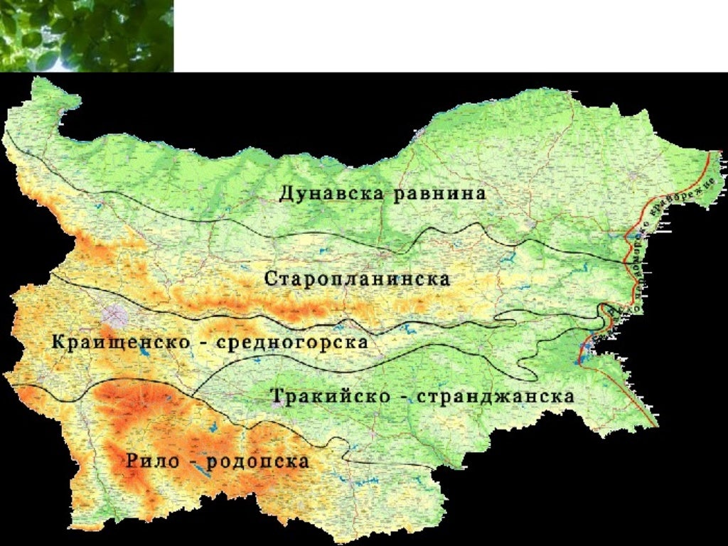 рило родопска област