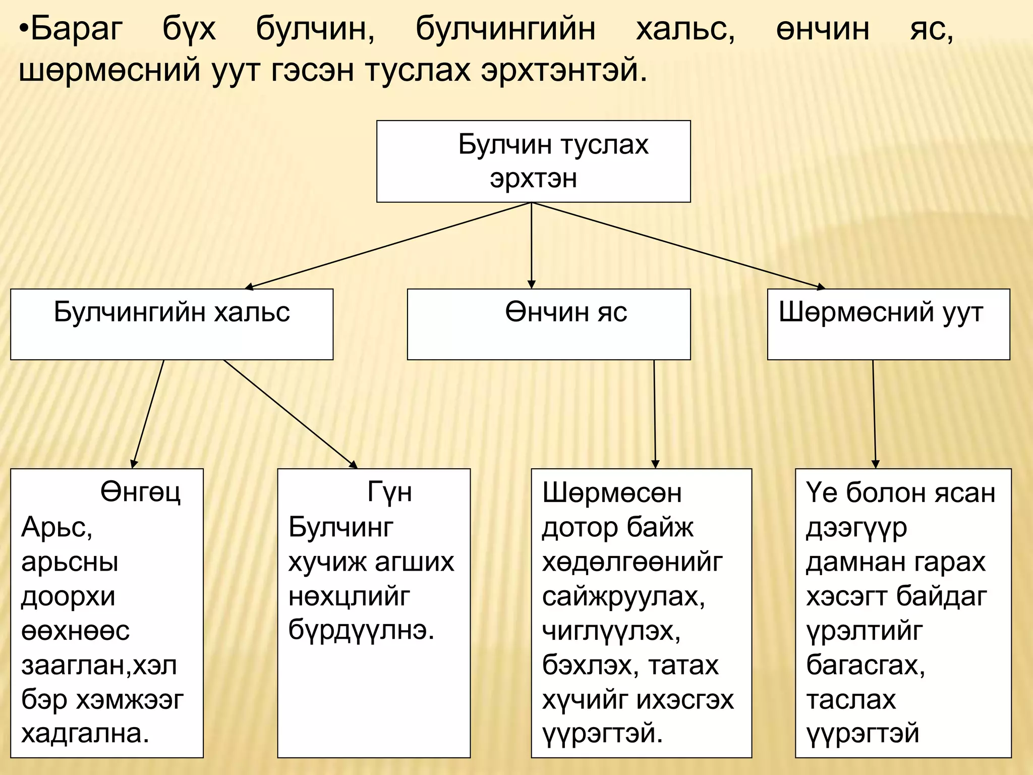 булчингийн бүтэц, найрлага, ангилал, булчингийн | PPT