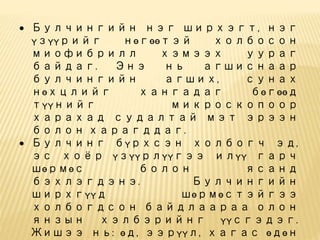 булчингийн бүтэц, найрлага, ангилал, булчингийн | PPT