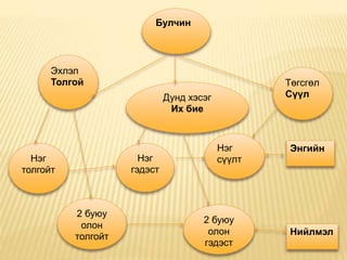 булчингийн бүтэц, найрлага, ангилал, булчингийн