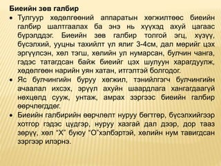булчингийн бүтэц, найрлага, ангилал, булчингийн | PPT