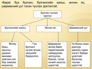 •Бараг бүх булчин, булчингийн хальс, өнчин яс,
шөрмөсний уут гэсэн туслах эрхтэнтэй.
Булчин туслах
эрхтэн
Шөрмөсний уутӨнчин ясБулчингийн хальс
Шөрмөсөн
дотор байж
хөдөлгөөнийг
сайжруулах,
чиглүүлэх,
бэхлэх, татах
хүчийг ихэсгэх
үүрэгтэй.
Үе болон ясан
дээгүүр
дамнан гарах
хэсэгт байдаг
үрэлтийг
багасгах,
таслах
үүрэгтэй
Гүн
Булчинг
хучиж агших
нөхцлийг
бүрдүүлнэ.
Өнгөц
Арьс,
арьсны
доорхи
өөхнөөс
зааглан,хэл
бэр хэмжээг
хадгална.
 