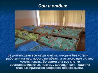 Сон и отдых
За долгий день все наши клетки, которые без устали
работали на нас, просто погибают, а от этого нам сильно
хочется спать. Во время сна все клетки
восстанавливаются, поэтому хороший сон – один из
главных признаков здорового образа жизни.
 