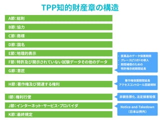 TPP知的財産章の構造
A節：総則
B節：協力
C節：商標
D節：国名
E節：地理的表示
F節：特許及び開示されていない試験データその他のデータ
G節：意匠
H節：著作権及び関連する権利
I節：権利行使
J節：インターネット・サービス・プロバイダ
K節：最終規定
• 医薬品のデータ保護期間
• グレースピリオドの導入
• 期間補償のための 
特許権存続期間延長
著作権保護期間延長
アクセスコントロール回避規制
非親告罪化、法定損害賠償
Notice-and-Takedown
（日本は例外）
 