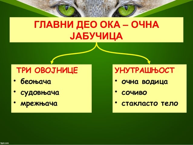 Део как ока