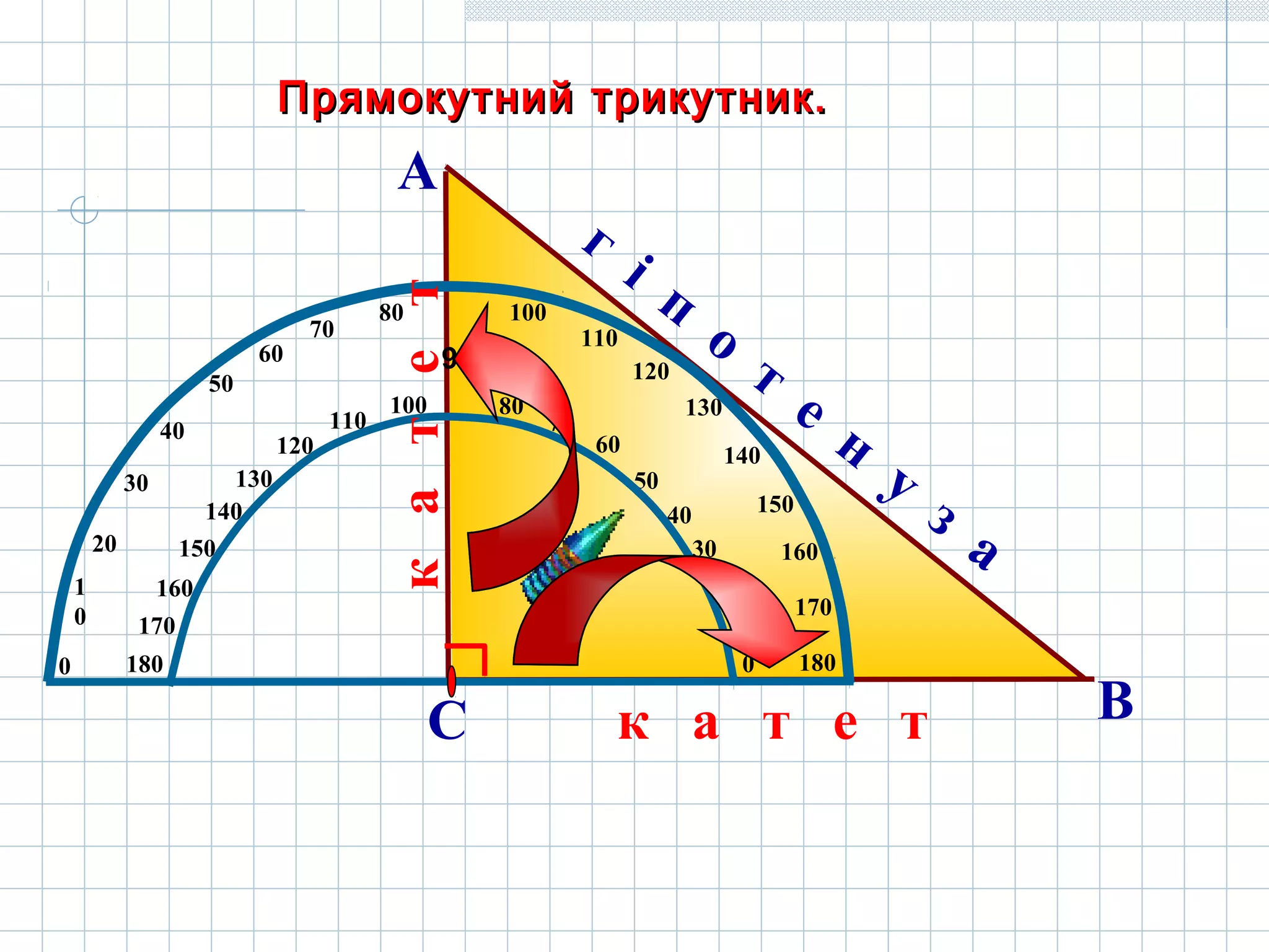 Прямокутний трикутник.Прямокутний трикутник.
170
160
130
120
110
100
90
80
70
60
50
40
30
20
1
0
0 0
10
20
30
40
50
60
70
80100
180
170
160
150
140
130
120
110
180
140
150
А
ВС
г
і п
о
т
е
н
у
з
а
к а т е т
катет
 