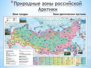 *
Зона тундры Зона арктических пустынь
 