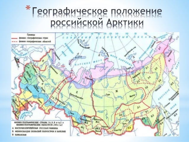 Яно-индигирская Низменность На Карте России - warriorspisok