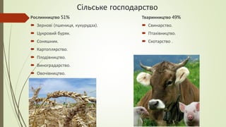 Сільське господарство
Рослинництво 51%
 Зернові (пшениця, кукурудза).
 Цукровий буряк.
 Соняшник.
 Картоплярство.
 Плодівництво.
 Виноградарство.
 Овочівництво.
Тваринництво 49%
 Свинарство.
 Птахівництво.
 Скотарство .
 