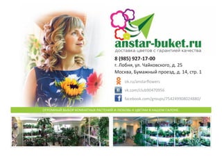 8 (985) 927-17-00
г. Лобня, ул. Чайковского, д. 25
Москва, Бумажный проезд, д. 14, стр. 1
ok.ru/anstarflowers
vk.com/club90470956
facebook.com/groups/754249908024880/
ОгрОМный выБОр кОМнатных растений и ЛюБОвь к цветаМ в нашеМ саЛОне.
 