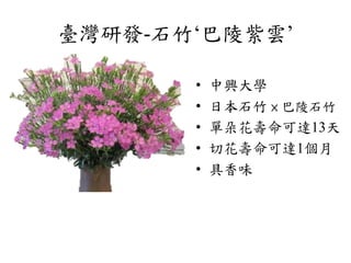 Pinks And Carnations