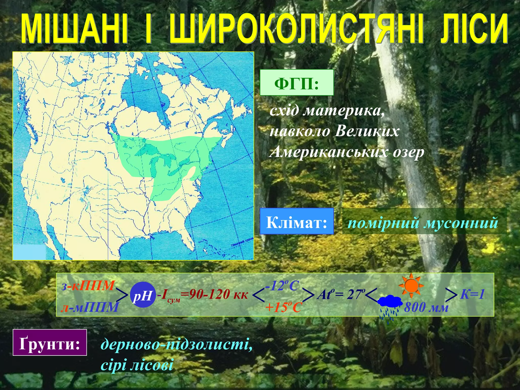 схід материка,
навколо Великих
Американських озер
Клімат: помірний мусонний
Ґрунти: дерново-підзолисті,
сірі лісові
ФГП:
з-кППМ
рН -Ісум=90-120 кк
-12о
С
+15о
С
^Аto
= 27o
^
К=1
л-мППМ
^
800 мм
^
^
 