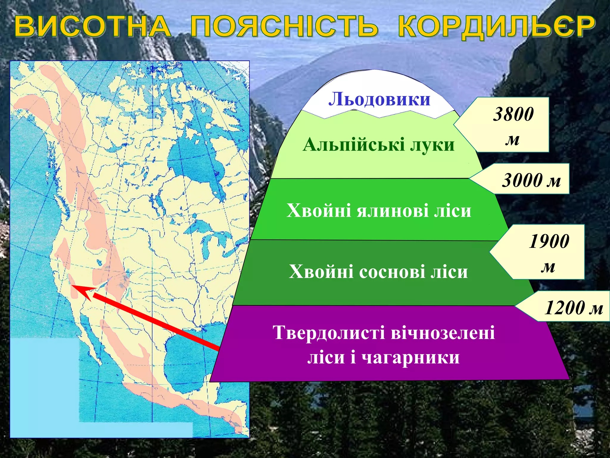 Твердолисті вічнозелені
ліси і чагарники
Хвойні соснові ліси
Хвойні ялинові ліси
Альпійські луки
Льодовики
1900
м
3000 м
3800
м
1200 м
 