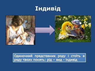 Індивід
 