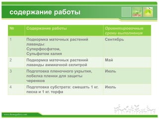www.themegallery.com
содержание работы
№ Содержание работы Ориентировочные
сроки выполнения
1 Подкормка маточных растений
лаванды:
Суперфосфатом,
Сульфатом калия
Сентябрь
2 Подкормка маточных растений
лаванды аммиачной селитрой
Май
3 Подготовка пленочного укрытия,
побелка пленки для защиты
черенков
Июль
4 Подготовка субстрата: смешать 1 кг.
песка и 1 кг. торфа
Июль
 