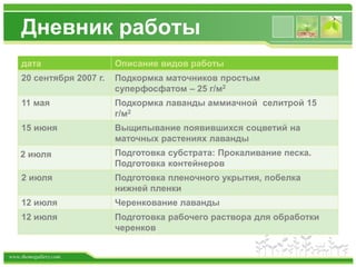 www.themegallery.com
Дневник работы
дата Описание видов работы
20 сентября 2007 г. Подкормка маточников простым
суперфосфатом – 25 г/м2
11 мая Подкормка лаванды аммиачной селитрой 15
г/м2
15 июня Выщипывание появившихся соцветий на
маточных растениях лаванды
2 июля Подготовка субстрата: Прокаливание песка.
Подготовка контейнеров
2 июля Подготовка пленочного укрытия, побелка
нижней пленки
12 июля Черенкование лаванды
12 июля Подготовка рабочего раствора для обработки
черенков
 