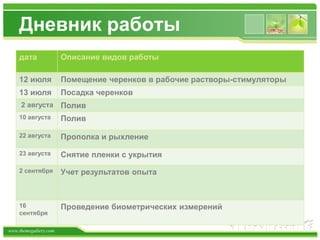 www.themegallery.com
Дневник работы
дата Описание видов работы
12 июля Помещение черенков в рабочие растворы-стимуляторы
13 июля Посадка черенков
2 августа Полив
10 августа Полив
22 августа Прополка и рыхление
23 августа Снятие пленки с укрытия
2 сентября Учет результатов опыта
16
сентября
Проведение биометрических измерений
 
