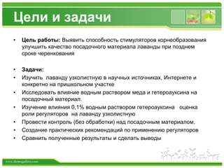 www.themegallery.com
Цели и задачи
• Цель работы: Выявить способность стимуляторов корнеобразования
улучшить качество посадочного материала лаванды при позднем
сроке черенкования
• Задачи:
• Изучить лаванду узколистную в научных источниках, Интернете и
конкретно на пришкольном участке
• Исследовать влияние водным раствором меда и гетероауксина на
посадочный материал.
• Изучение влияния 0,1% водным раствором гетероауксина оценка
роли регуляторов на лаванду узколистную
• Провести контроль (без обработки) над посадочным материалом.
• Cоздание практических рекомендаций по применению регуляторов
• Сравнить полученные результаты и сделать выводы
 
