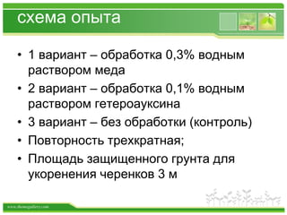 www.themegallery.com
схема опыта
• 1 вариант – обработка 0,3% водным
раствором меда
• 2 вариант – обработка 0,1% водным
раствором гетероауксина
• 3 вариант – без обработки (контроль)
• Повторность трехкратная;
• Площадь защищенного грунта для
укоренения черенков 3 м
 