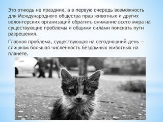 Это отнюдь не праздник, а в первую очередь возможность
для Международного общества прав животных и других
волонтерских организаций обратить внимание всего мира на
существующие проблемы и общими силами поискать пути
разрешения.
Главная проблема, существующая на сегодняшний день —
слишком большая численность бездомных животных на
планете.
 
