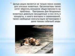* Целью акции является не только поиск хозяев
для уличных животных. Организаторы также
хотят обратить внимание общественности на
проблему . Программы Дня бездомных
животных довольно насыщенные: в них есть и
концерты, и много викторин и соревнований,
также свободные консультации ветеринаров и
даже показы собачьей моды.
 