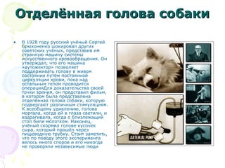 Отделённая голова собакиОтделённая голова собаки
• В 1928 году русский учёный Сергей
Брюхоненко шокировал других
советских учёных, представив им
странную машину системы
искусственного кровообращения. Он
утверждал, что его машина
«аутожектор» позволяет
поддерживать голову в живом
состоянии путём постоянной
циркуляции крови, пока над
остальным телом проводится
операцияДля доказательства своей
точки зрения, он представил фильм,
в котором была представлена
отделённая голова собаки, которую
подвергают различным стимуляциям.
К всеобщему удивлению, голова
моргала, когда ей в глаза светили, и
вздрагивала, когда о близлежащий
стол били молотком. Наконец,
учёный скормил голове кусочек
сыра, который прошёл через
пищеводную трубку. Стоит заметить,
что по поводу этого эксперимента
велось много споров и его никогда
не проверяли независимые люди
 