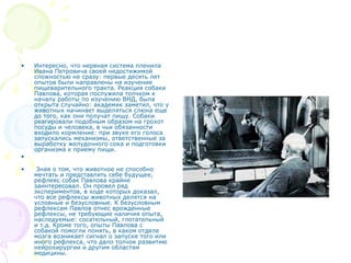 • Интересно, что нервная система пленила
Ивана Петровича своей недостижимой
сложностью не сразу: первые десять лет
опытов были направлены на изучение
пищеварительного тракта. Реакция собаки
Павлова, которая послужила толчком к
началу работы по изучению ВНД, была
открыта случайно: академик заметил, что у
животных начинает выделяться слюна еще
до того, как они получат пищу. Собаки
реагировали подобным образом на грохот
посуды и человека, в чьи обязанности
входило кормление: при звуке его голоса
запускались механизмы, ответственные за
выработку желудочного сока и подготовки
организма к приему пищи.
•
• Зная о том, что животное не способно
мечтать и представлять себе будущее,
рефлекс собак Павлова крайне
заинтересовал. Он провел ряд
экспериментов, в ходе которых доказал,
что все рефлексы животных делятся на
условные и безусловные. К безусловным
рефлексам Павлов отнес врожденные
рефлексы, не требующие наличия опыта,
наследуемые: сосательный, глотательный
и т.д. Кроме того, опыты Павлова с
собакой помогли понять, в каком отделе
мозга возникает сигнал о запуске того или
иного рефлекса, что дало толчок развитию
нейрохирургии и другим областям
медицины.
 