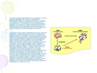 • К условным рефлексам Павлов отнес те реакции, которые
организм вырабатывает в связи с изменениями
окружающей среды, полученным знаниям и т.п. И если
безусловные рефлексы у здорового человека «вечны» и
«нестираемы», то условные могут быть потеряны «за
ненадобностью», если ситуация, на которую выработан
рефлекс, не повторяется. Самый известный опыт в этом
направлении сегодня называют условным рефлексом
собаки Павлова: та самая лампочка, в момент включения
которой у животных начинала выделяться слюна.
•
• В наши дни опыт кажется невероятно простым: лампочка
загорается – собака получает лакомство – выделяется
слюна. Повторяем несколько раз, исключаем лакомство.
Эффект достигнут: выработан условный рефлекс на свет
лампочки (выделение слюны), который запускается даже
при отсутствии пищевого поощрения. Сегодня реакция
собаки Павлова понятна любому опытному владельцу
собак, однако такая прозрачность психологии этих
животных появилась именно после экспериментов Ивана
Петровича. Мы используем эффект собаки Павлова
ежедневно, когда просим любимца сесть, подойти или
принести игрушку. Эффект собаки Павлова в быту – это
банальная дрессура: сидеть – собака села и получила
поощрение. Через несколько занятий у питомца
вырабатывается условный рефлекс на голосовую
команду, и пищевое поощрение теперь не требуется или
требуется лишь иногда, как напоминание (команда – та
же лампочка). Владелец, который понимает, как на
практике использовать рефлекс собаки Павлова, никогда
не испытывает сложностей с воспитанием питомца: не
нарушай связи, давай лакомство в момент выполнения
команды и не секундой позже, и любой урок будет
усвоен в минимально короткий срок. И, конечно, нельзя
забывать о том, что условные рефлексы постепенно
«удаляются» из памяти, а потому необходимо повторение
(тренировки на прогулке и т.д.).
 