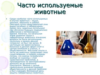 Часто используемыеЧасто используемые
животныеживотные
• Среди наиболее часто используемых
в опытах животных – мыши,
кролики, обезьяны и собаки.
Ежегодно сотни представителей этих
видов погибают в лабораториях.
Кроме того, животных используют
при обучении будущих медицинских
работников и ветеринарных
врачей. Конечно, на начальном
этапе развития науки о
лабораторных животных этические
вопросы не были актуальными,
поскольку и размах данной
«отрасли» не был так велик. В
настоящее же время вопросы
биоэтики в данной сфере стоят в
центре внимания и ученых, и
общественности. Жестокие опыты и
тесты на животных продолжают свое
существование, в первую очередь
потому, что многие потребители
вообще не знакомы с этой
нравственной проблемой, а
производители не заинтересованы
доносить ее до конечного
покупателя. Именно с целью
привлечения внимания мировой
общественности к данной проблеме
и был учрежден Всемирный день
защиты лабораторных животных.
 