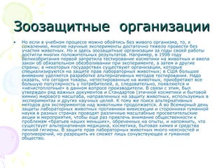 Зоозащитные организацииЗоозащитные организации
• Но если в учебном процессе можно обойтись без живого организма, то, к
сожалению, многие научные эксперименты достаточно тяжело провести без
участия животных. Но и здесь зоозащитные организации за годы своей работы
достигли многих положительных результатов. Например, в 1998 году
Великобритания первой запретила тестирование косметики на животных и ввела
закон об обязательном обезболивании при эксперименте, а затем и другие
страны; в некоторых государствах существуют организации, которые
специализируются на защите прав лабораторных животных; в США большое
внимание уделяется разработке альтернативных методов тестирования. Надо
сказать, что сегодня товары, нетестированные на животных, приобретают все
большую популярность у потребителей, а, следовательно, появляются и
«нечистоплотные» в данном вопросе производители. В связи с этим, был
утвержден ряд важных документов и Стандартов (этичной косметики и бытовой
химии) мирового масштаба, направленных на защиту животных, используемых в
экспериментах и других научных целей. К тому же поиск альтернативных
методов для экспериментов над животными продолжается. А во Всемирный день
защиты лабораторных животных противники вивисекции и сторонники гуманной
науки в разных странах проводят различные масштабные просветительские
акции и мероприятия, чтобы еще раз привлечь внимание общественности к
проблемам «братьев наших меньших», обреченных на опыты, и напомнить, что
существует альтернативная медицина, косметика, бытовая химия и средства
личной гигиены. В защите прав лабораторных животных много неясностей и
противоречий, но разрешить их сможет лишь сочувствующее и гуманное
общество.
 