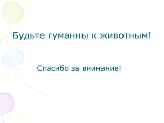Будьте гуманны к животным!
Спасибо за внимание!
 