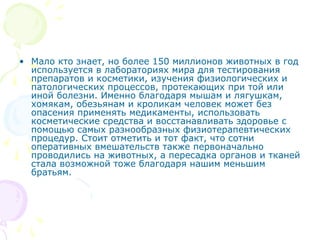 • Мало кто знает, но более 150 миллионов животных в год
используется в лабораториях мира для тестирования
препаратов и косметики, изучения физиологических и
патологических процессов, протекающих при той или
иной болезни. Именно благодаря мышам и лягушкам,
хомякам, обезьянам и кроликам человек может без
опасения применять медикаменты, использовать
косметические средства и восстанавливать здоровье с
помощью самых разнообразных физиотерапевтических
процедур. Стоит отметить и тот факт, что сотни
оперативных вмешательств также первоначально
проводились на животных, а пересадка органов и тканей
стала возможной тоже благодаря нашим меньшим
братьям.
 