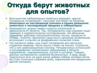 Откуда берут животныхОткуда берут животных
для опытов?для опытов?
• Большинство лабораторных животных разводят, других
специально отлавливают, покупают или берут из приютов.
Некоторых из поставщиков уличали в краже домашних
животных и последующей продаже в лаборатории.
• Оказывается, разных живых существ используют в
зависимости от области. Так, эксперименты над кошками чаще
проводят в неврологических исследованиях. На обезьянах
проверяют действие токсикологических тестов, лекарств от
СПИДа, гепатита. Кроликов (чаще всего кроликов-альбиносов)
используют в опытах на раздражение слизистой глаза.
• Что касается собак, они стают материалом для обучения
студентов-медиков. Часто опыты ставят на гончих. Считается,
что у них уравновешенная психика. Четырехлапых используют
в исследованиях человеческих заболеваний в области
кардиологии, эндокринологии, костей и суставов. Говорят,
данные эксперименты наиболее болезненные. А ведь среди
подопытных есть не одна умная добрая собака, которая могла
бы стать отличным сторожем дома, охранником или преданным
другом человеку.
 