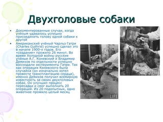 Двухголовые собакиДвухголовые собаки
• Документированные случаи, когда
учёным удавалось успешно
присоединить голову одной собаки к
другой
• Американский учёный Чарльз Гатри
(Charles Guthrie) успешно сделал это
в начале 1900-х годов. Его
«создание» прожило 26 минут. Во
время Холодной войны русские
учёные А.Г. Коневский и Владимир
Демихов по отдельности успешно
воссоздали эксперименты Гатри. Так
как операция Коневского была
случайна (он изначально хотел
провести трансплантацию сердца),
именно Демихов получил всемирную
известность за своих двухголовых
собак. Он улучшил процесс
пересадки и смог выполнить 20
операций. Из 20 подопытных, одно
животное прожило целый месяц
 