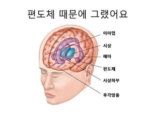 편도체 때문에 그랬어요
 