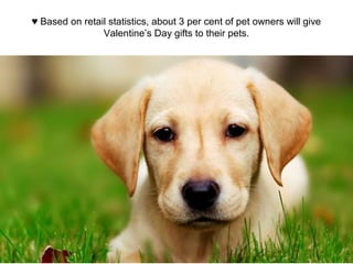 ♥ Based on retail statistics, about 3 per cent of pet owners will give
Valentine’s Day gifts to their pets.
 