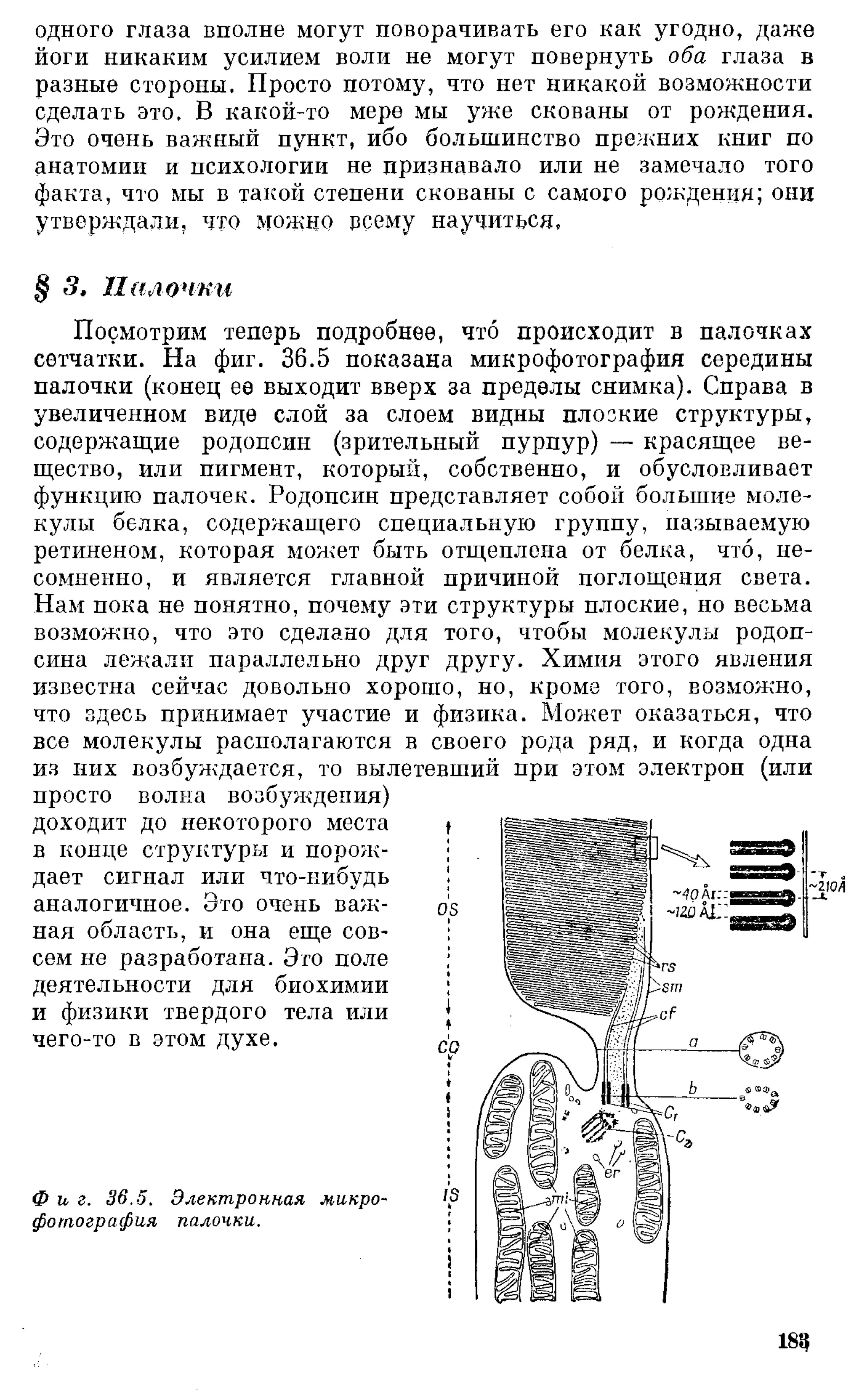 Фейнман Р., Лейтон Р., Сэндс М. Фейнмановские лекции по физике. 3. Излучение. Волны. Кванты 3.